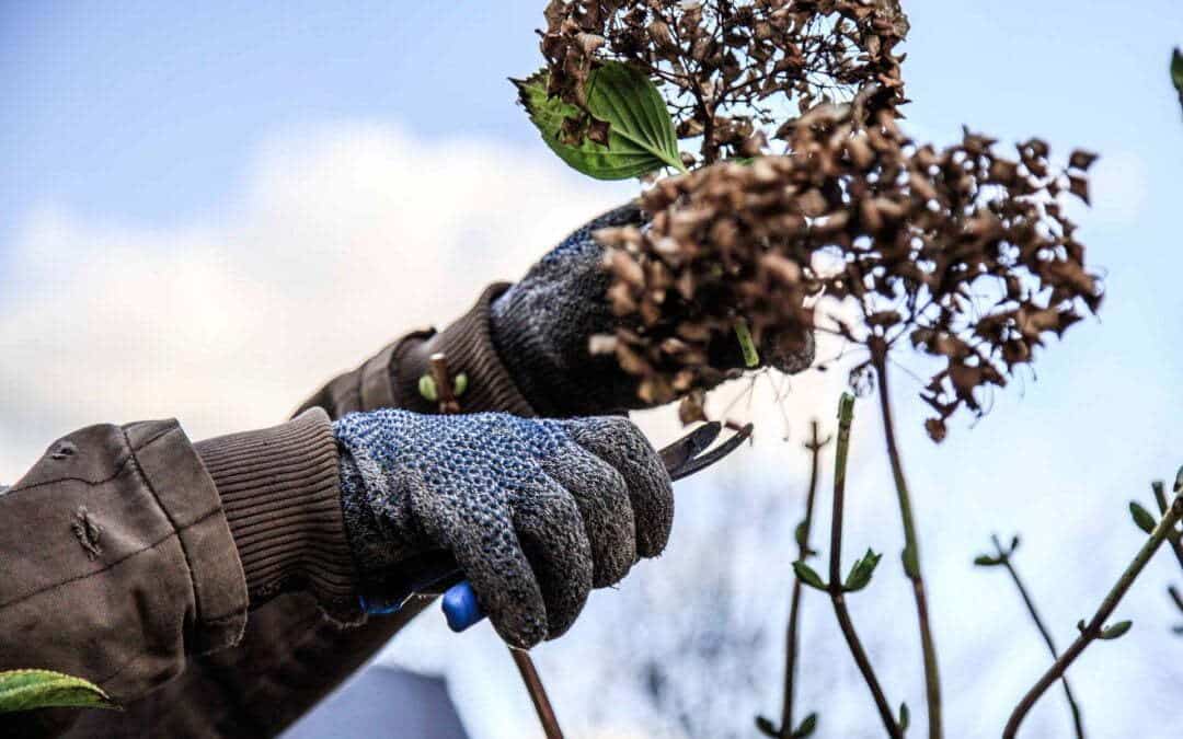 Travaux d&rsquo;entretien des jardins